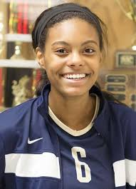 Girls volleyball: Fox Valley All-Area team