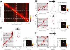 Feb 27,2018) file for android: Distinct Effects Of Reward And Navigation History On Hippocampal Forward And Reverse Replays Pnas