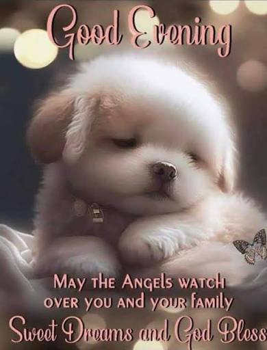 Wishing everyone a good evening and night