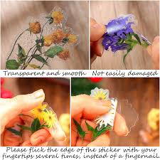Joann has everything you need to create a card for any occasion. Buy 280 Pieces Transparent Flower Stickers Set Pet Decorative Waterproof Stickers Assorted Colorful Diy Stickers For Scrapbooking Journal Album Phone Case Laptop Card Making Supplies Fresh Style Online In Taiwan B0936b9qdx