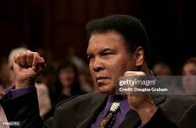 639 Mark Parkinson Stock Photos, High-Res Pictures, and Images