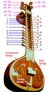 20 Just Sitars Ideas Indian Musical Instruments Musicals Musical Instruments