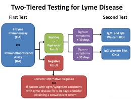 Lymepolicywonk Lyme Disease Testing The Cdc Labcorp And Stories That Don T Add Up Lyme Disease Lyme Disease Awareness Lyme