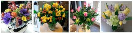 Visitors come to the area for wine and beer tours, ballooning. 6 Best Flower Delivery In Charlottesville Va 2021