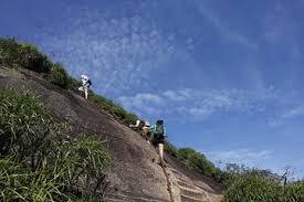 During the tijuca peak hike, the participants will know the history of the tijuca forest, which is protected since the middle of the 19th century, upholding historical treasures of the colonial times of. Private Wanderung Durch Den Pico Da Tijuca Im Nationalpark Tijuca 2021 Rio De Janeiro Tiefpreisgarantie