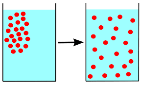 Osmosis is the diffusion of water molecules across selectively permeable membranes. Diffusion Wikipedia