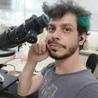 Image result for Triaspis hypericoides