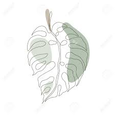 Sale black & white monstera leaf canvas wall decor was: Exotic Monstera Continuous One Line Drawing Summer Tropical Leaf Royalty Free Cliparts Vectors And Stock Illustration Image 129197188