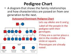 crosses and pedigrees