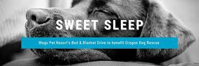 We include unlimited potty breaks, structured play activities and interaction with our staff. Blog 1 Wags Pet Resort