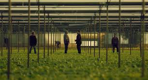 Patrizia et michelangelo sont déterminés à fuir naples après les événements passés, pour enfin se mettre en sécurité. Gomorrah Episode 4 12 Tv Episode 2019 Imdb