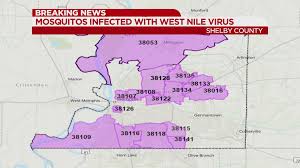 Health Officials West Nile Virus Detected In 13 Zip Codes Crews To Spray Next Week See maps and census data for zip code 96785 on cybo. health officials west nile virus