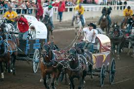 Plan your visit and buy tickets for the calgary stampede. 30 Things To Do During The 2019 Calgary Stampede Avenue Calgary