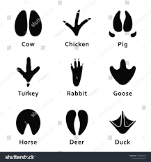 Animals Footprints Paw Prints Set Of Different Animals And Birds Footprints And Traces Cow Chicken Pig Turkey Animal Footprints Bird Footprint Print Sets