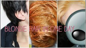 Blend it out from the roots of your hair down. Dyed Black Hair To Blonde In One Day Youtube