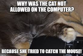 Cat And Mouse Puns Cat Puns Cats Cat Jokes