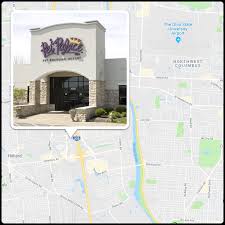 Pets hotel night pet care specialist. Pet Boarding Hilliard Dublin Dog Daycare Pet Grooming Pet Palace