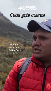 🌊 Circuito agua y paz: avistamiento y experiencias de reconciliación 🕊️  Lagunas, ríos, carreteras y caminos a lo largo de los humedales y bosques  del río Guaviare. Este circuito se centra en