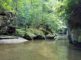 With amazing activities like ziplining across the red river gorge, kayaking through caves, rock climbing, hiking, and horseback riding, there's always something to do here! Hiking Red River Gorge In Summer Heat Hikingrrg