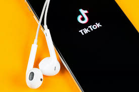 They have been one of the most successful brands on the app, garnering just under half a million followers and over 20 million likes since they joined in may of 2019. Tiktok Ad Campaigns How It Works By Trapica Content Team Trapica Medium
