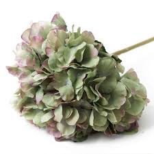 Check spelling or type a new query. Hydrangea Large Green Mauve Wyld Home