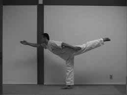 Yoga Stretching For Taekwondo Some Of These Look Like They Will Help A Lot Taekwonwoo Martial Arts Workout Taekwondo Martial Arts