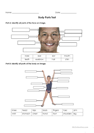 The study of the human body involves anatomy, physiology, histology and emb. Body Parts Test English Esl Worksheets For Distance Learning And Physical Classrooms