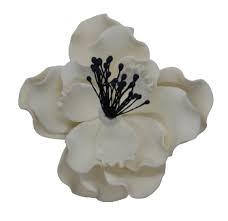 All other taxable goods and services: Edible Flowers Shop Edible Flowers With Great Discounts And Prices Online Lazada Philippines