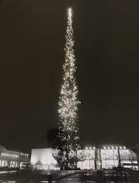 Its official name is christmas tree shops (plural!). How One Very Tall Christmas Tree Saved Northgate Mall Knkx