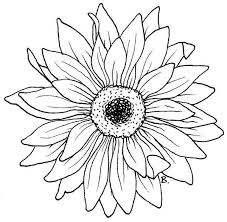 Black And White Simple Outline Outline Stencil Sunflower Clipart Beccy S Place Flower Coloring Pages Coloring Pages Digital Stamps