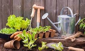 How To Become A Gardener Startups Co Uk