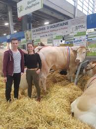 Present in more than 20 countries, the agriaffaires site specialises in the sale of new and used farm, forestry, winegrowing and green area maintenance equipment. Blonde D Aquitaine 49 Blondeaquit49 Twitter