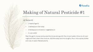 Lastly, add a cup of horticulture oil or murphys oil soap (oil and. Natural Bug Repellent For Plants Natural Pesticides Harold Casados Hoofia Comhoofia Com Ppt Download