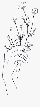 Clip Art Quitely Flowers Passion Freedom Hands Holding A Flower Drawing Free Transparent Clipart Clipartkey Browse through our wide collection of arranged hand bouquets! clip art quitely flowers passion