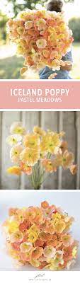 Pin On Grow Floret