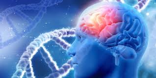 Accident vascular cerebral hemoragic este responsabil pentru aproximativ 40 la sută din toate decesele de accident vascular cerebral. Accidentul Vascular Cerebral Tot Mai Frecvent La Tineri