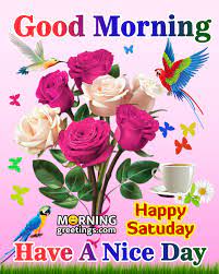 50 Good Morning Happy Saturday Images Morning Greetings Morning Quotes And Wishes Images Browse our great collection of good day pictures and choose your favourite to send to a friend. 50 good morning happy saturday images
