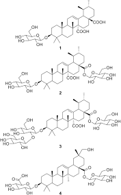 Image result for Fagonia isotricha
