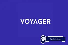 What to consider when buying ripple. Voyager Crypto Review 2021 Is Voyager Safe Legit Captainaltcoin
