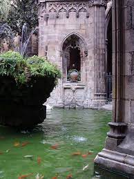 George, 45, from northern portugal, has lived in barcelona for 10 years now and takes off his clothes in any place it is acceptable to be naked. Cathedral Gardens Bare Gothic Barcelona Spain Places To Travel Places To Go Spain Travel