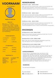 Communicatie Specialist Cv Template S Gratis Motivatiebrief
