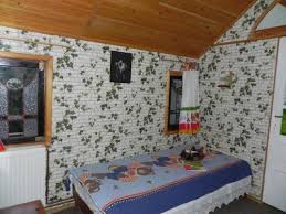 Facebook'ta pensiunea iedera'nın daha fazla içeriğini gör. Pensiunea Iedera Casa De Familii Pianu De Jos 2020 Neue Angebote Hd Fotos Bewertungen