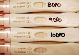 Hcg Pregnancy Testing Everything You Want To Know Marie Kertes Fertility Coach