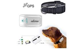 See your cat's location worldwide. 10 Best Cat Trackers In 2021 Comprehensive Review