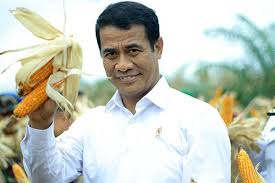 We did not find results for: Infopublik Kementan Siap Bantu Benih Jagung 50 Ribu Ha Ke Gempita Jatim