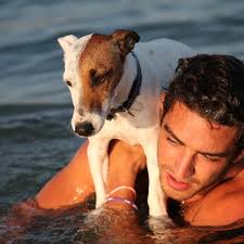 Allie Levi's Instagram, Twitter & Facebook