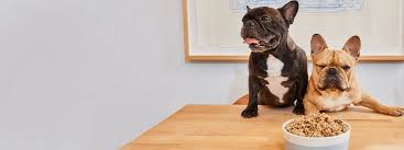 You can buy your pet food online and have it shipped with my pet food store's online pet store with just a few clicks. Healthier Human Grade Dog Food Delivered