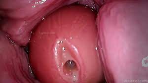 Camera in Vagina, Cervix POV, 'Creampie'