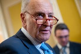 Schumer pledges to pass antisemitism bill in Senate's lame-duck session