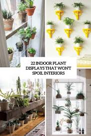 You may find that one area of a room suffers much less from extremes than another and therefore could be better for a plant display. 22 Indoor Plant Displays That Won T Spoil Interiors Indoor Plants Plants Indoor Plants Diy